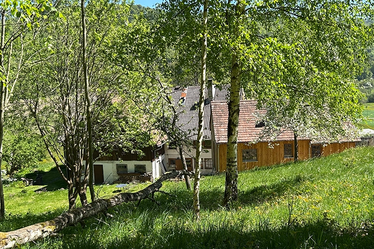 zeitgenössische Elemente macht Architektur lebendig